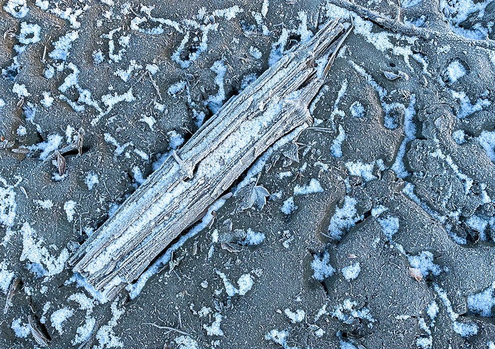 2026_02_02_02_Details_im_Winter_Jo_Bathmann_Holz