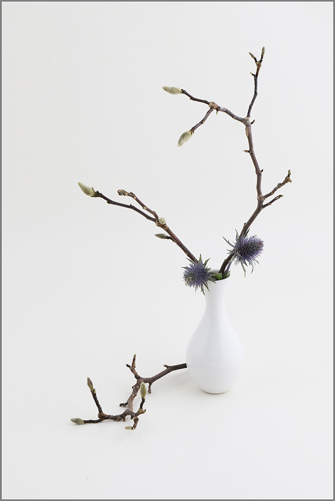 01_Zweige_Doris_Wuethrich