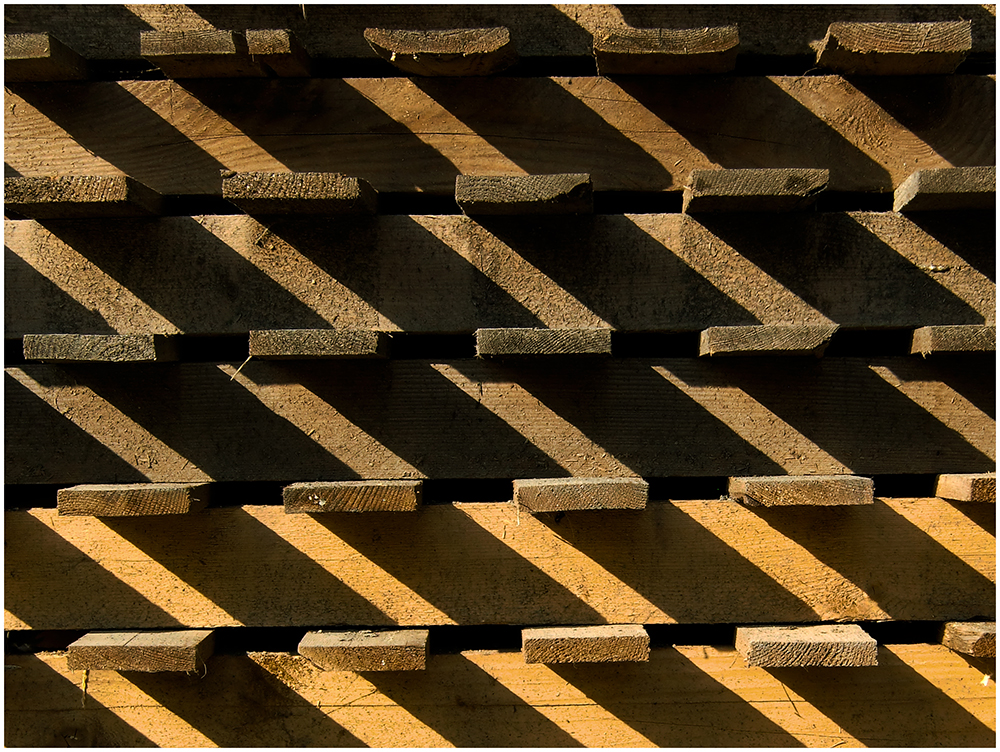 02_Holzschatten_Stephan_Lukanow